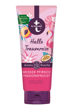 Hallo Traumreise