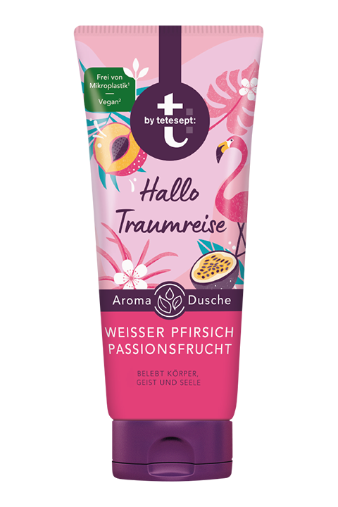Hallo Traumreise